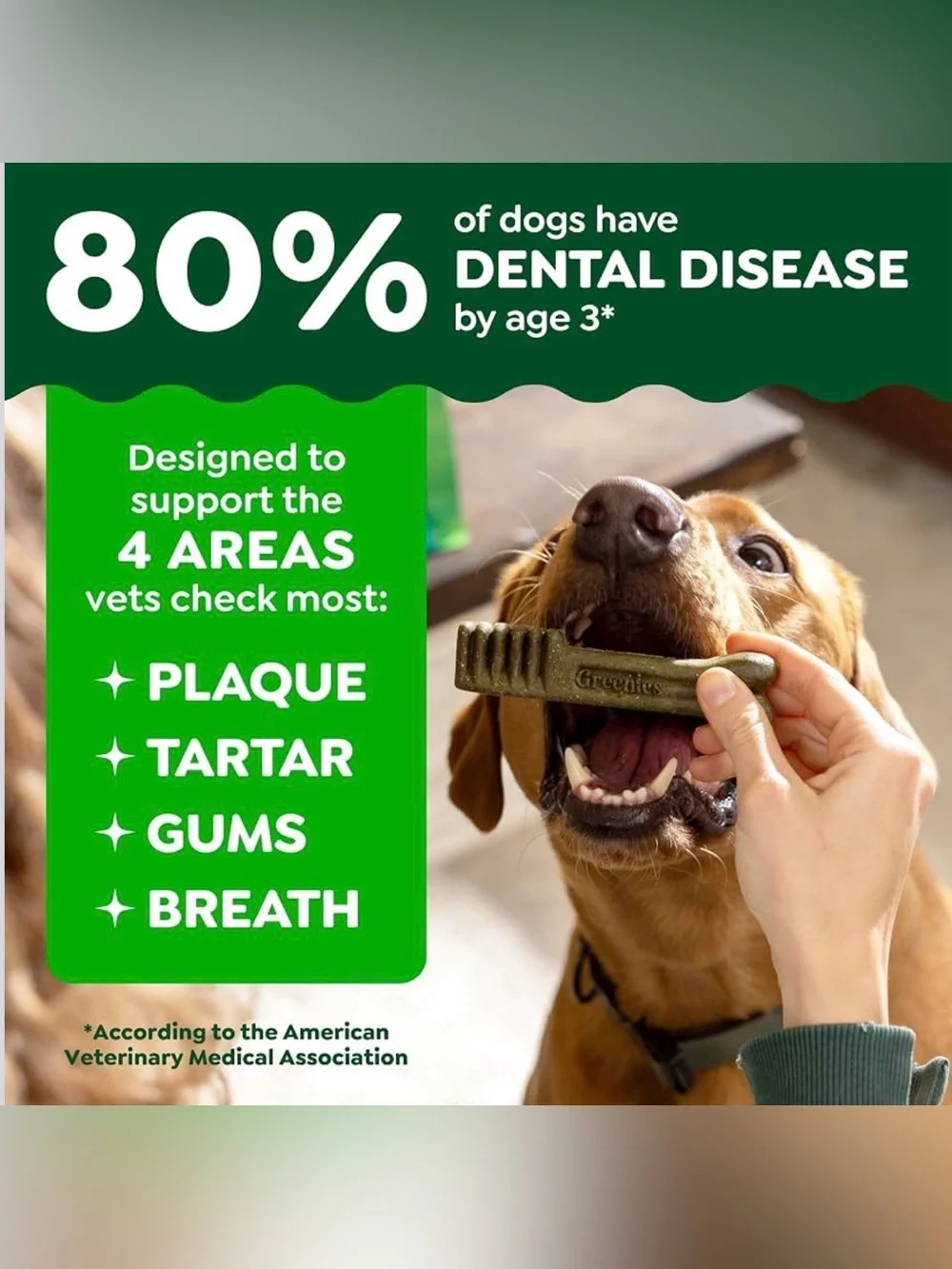 Greenies original dental